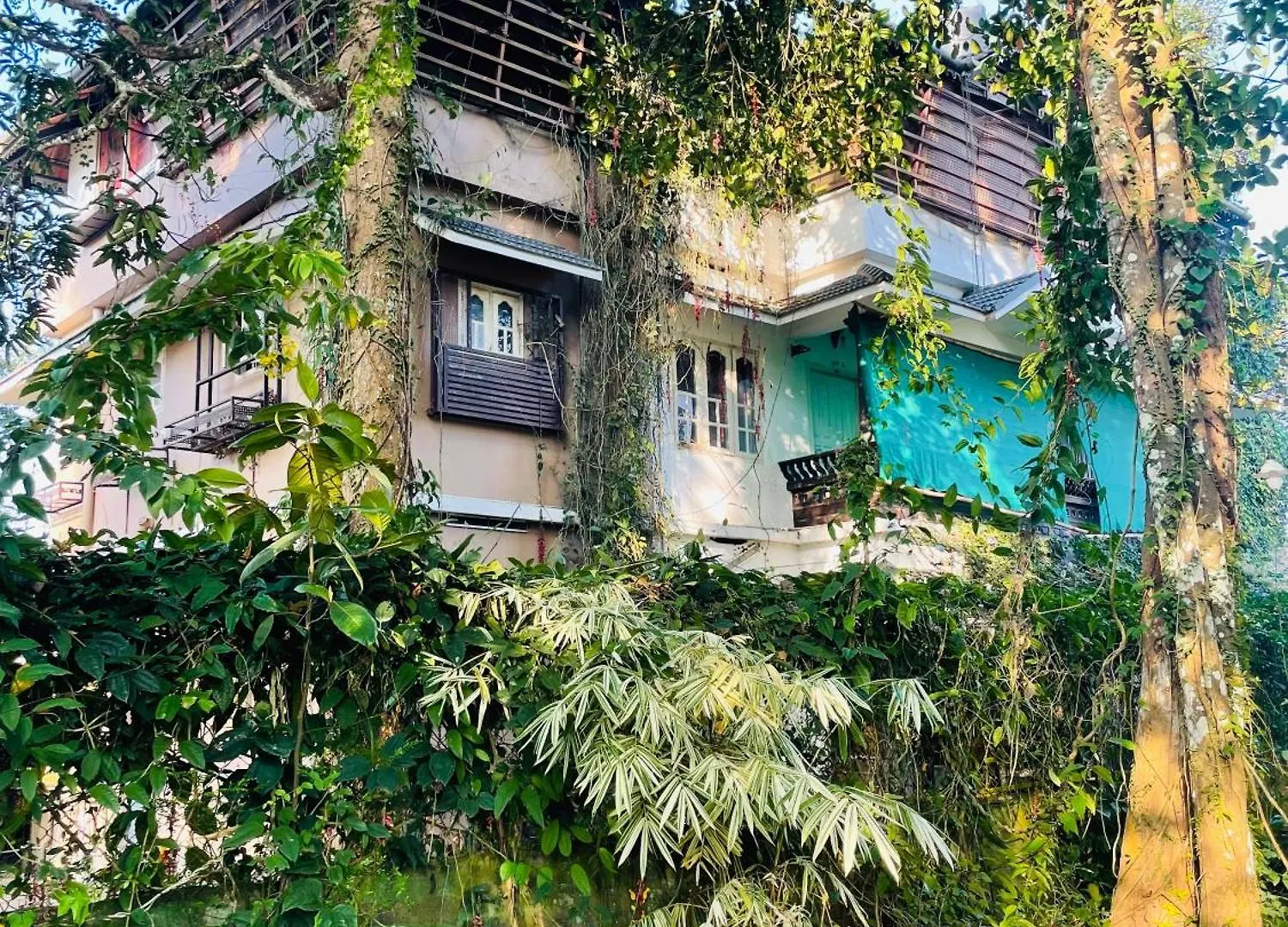 Clements Holiday Kalpetta 0*,