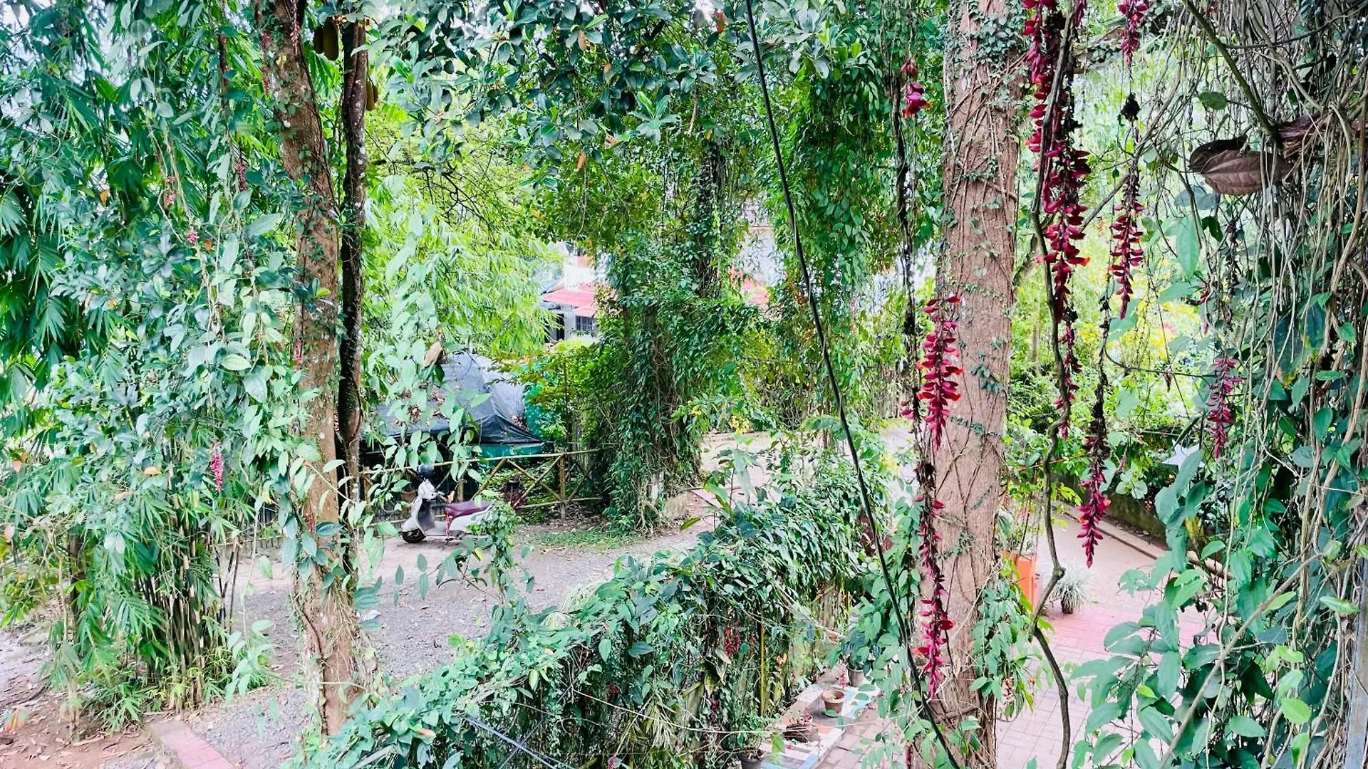 Homestay Clements Holiday Kalpetta